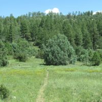 Sivers Ranch images 2