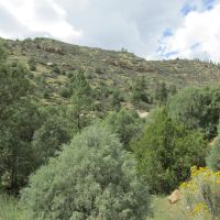 Sivers Ranch images 4