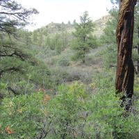 Sivers Ranch images 5