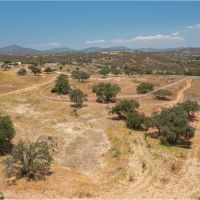 Picturesque 145 - Acre Rare Subdivision Opportunity images 4