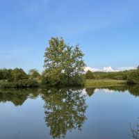 Ozark living on 317 - Acres 2 Houses 3 ponds Fenced Fulton County Arkansas images 2