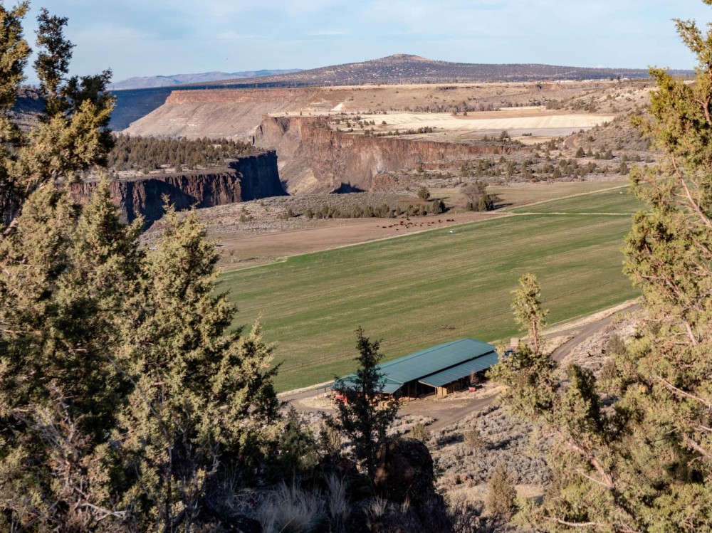 Crooked River Rim Farm featured image