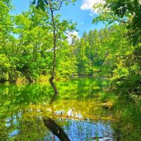 73 -Ac Beautiful Lakefront Property Adjoining U.S. Forest Service images 1