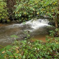 73 -Ac Beautiful Lakefront Property Adjoining U.S. Forest Service images 4