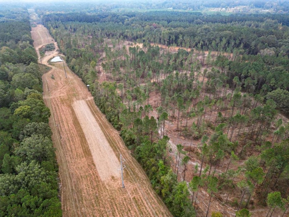 29 Acre Small Land Tract for Sale in Amite County MS Hunting Land for