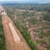 29 Acre Small Land Tract for Sale in Amite County MS