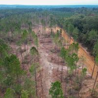 29 Acre Small Land Tract for Sale in Amite County MS images 2