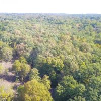 Seminole County 95 images 5