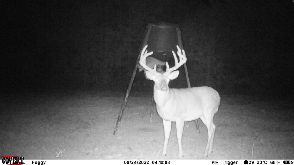 167 Acres Hunting Land for Sale in Amite County MS featured image