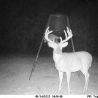 167 Acres Hunting Land for Sale in Amite County MS