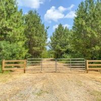 167 Acres Hunting Land for Sale in Amite County MS images 4