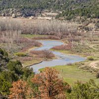Los Pinos Riverfront Recreational Land images 2