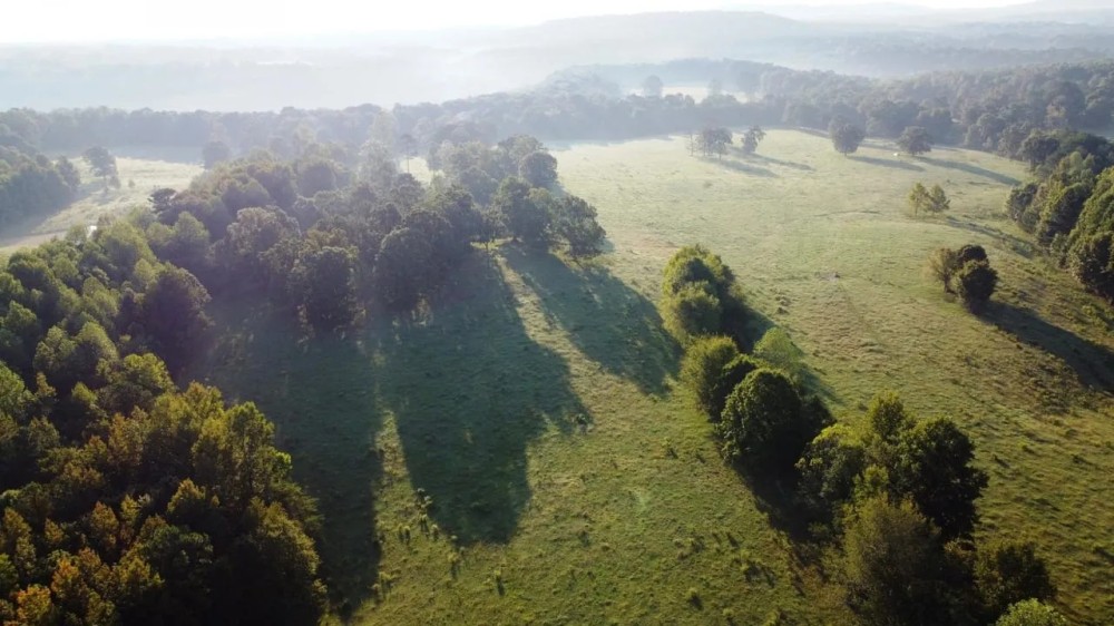 44 Acre Cook Creek Mini Farm featured image