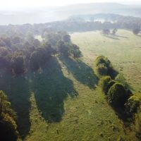 44 Acre Cook Creek Mini Farm