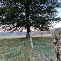 44 Acre Cook Creek Mini Farm images 2