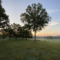 44 Acre Cook Creek Mini Farm images 3
