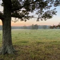 44 Acre Cook Creek Mini Farm images 4