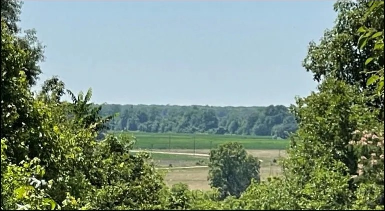 216 Acres in Yazoo County in Yazoo City MS featured image