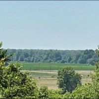 216 Acres in Yazoo County in Yazoo City MS