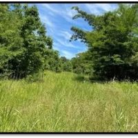 216 Acres in Yazoo County in Yazoo City MS images 2
