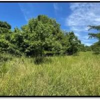 216 Acres in Yazoo County in Yazoo City MS images 3