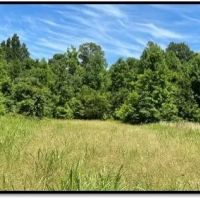 216 Acres in Yazoo County in Yazoo City MS images 4