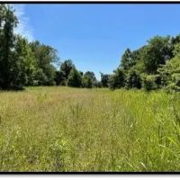 216 Acres in Yazoo County in Yazoo City MS images 5