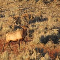 Rito De Los Pinos Ranch images 3