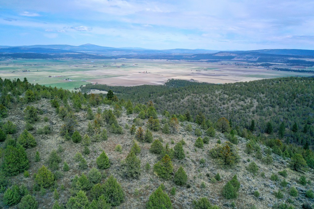 Poe Valley Retreat featured image