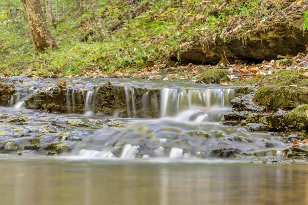 52 Acre Hunting and Recreational Tract in Ashland City TN featured image