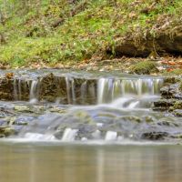 52 Acre Hunting and Recreational Tract in Ashland City TN