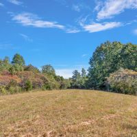 52 Acre Hunting and Recreational Tract in Ashland City TN images 2