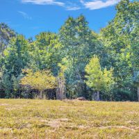 52 Acre Hunting and Recreational Tract in Ashland City TN images 3