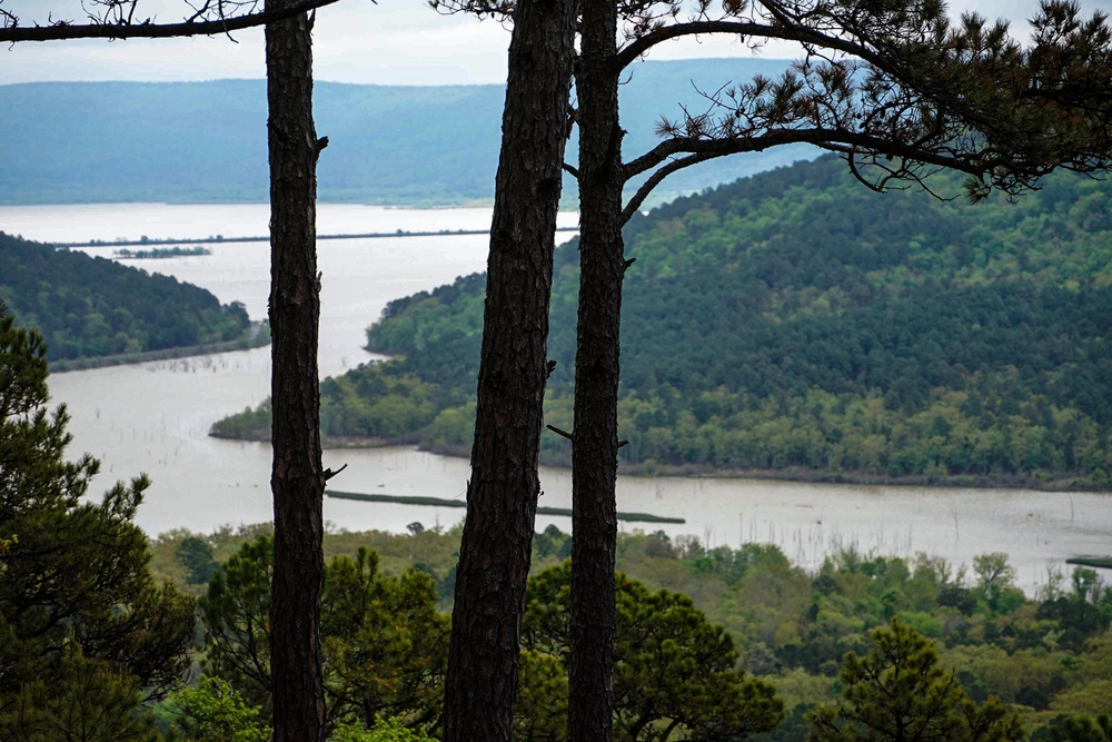 Sardis Escape Hunting Land for Sale