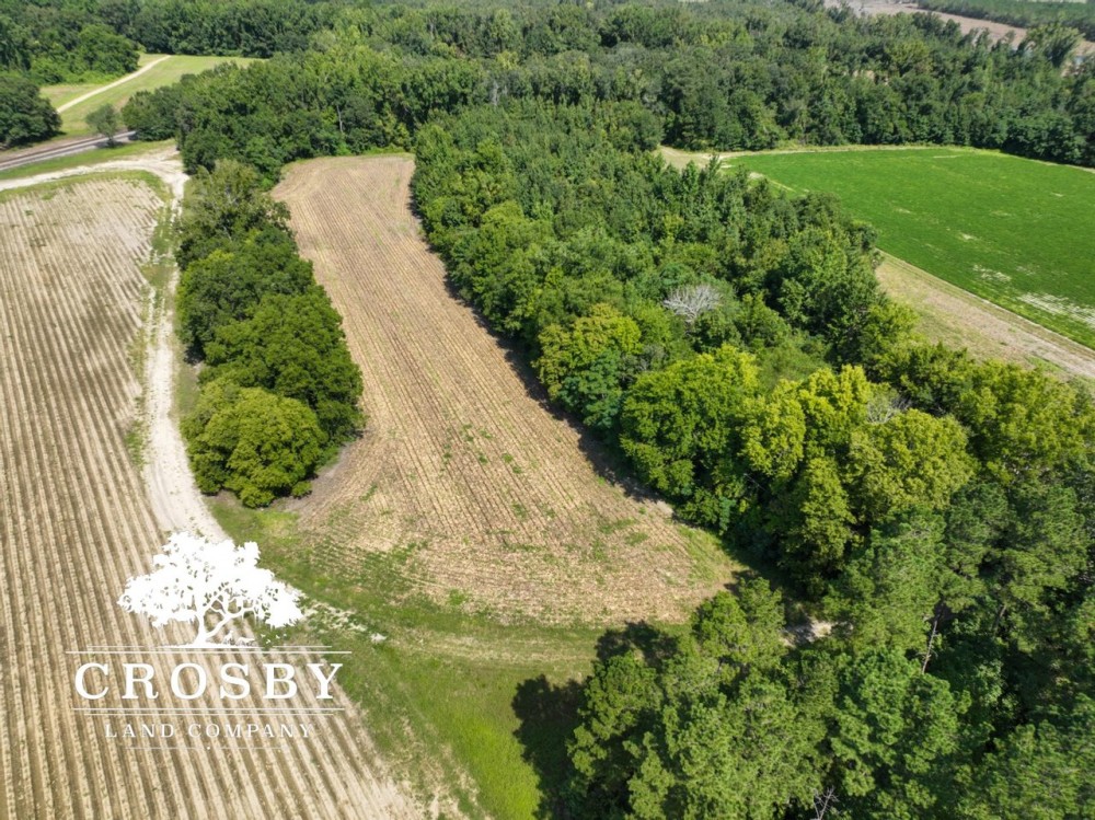 Clio Farm featured image