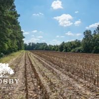 Clio Farm images 2