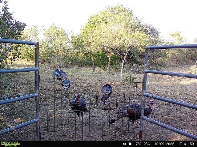 Woodward County Country Living featured image