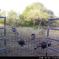 Woodward County Country Living