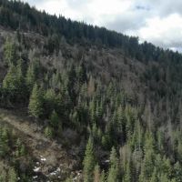 S. Fork Coppei Mountain Land