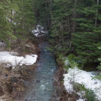 S. Fork Coppei Mountain Land images 3