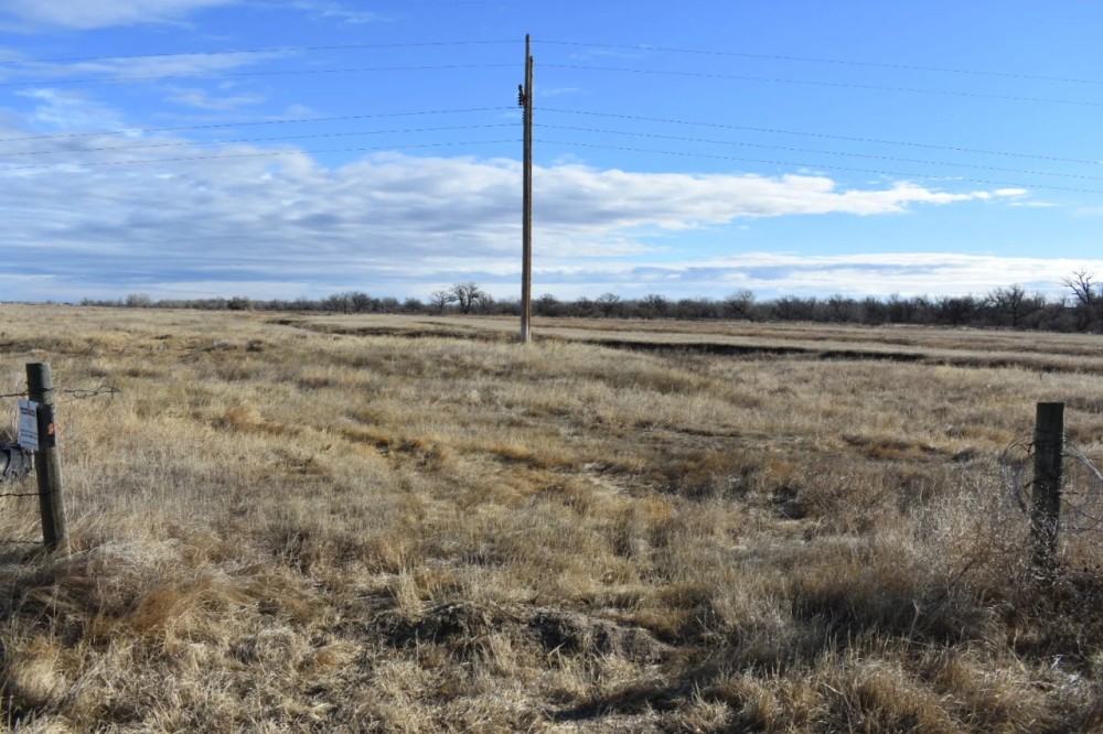 Ovid Farm and Frontage featured image