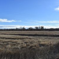 Ovid Farm and Frontage images 2