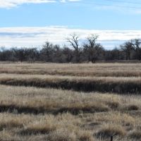 Ovid Farm and Frontage images 3