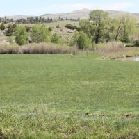 Big Spring Ranch images 2