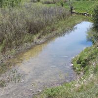 Big Spring Ranch images 5