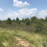 LA - Richland 198 acres - images 2