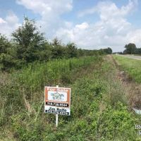 LA - Richland 198 acres - images 3
