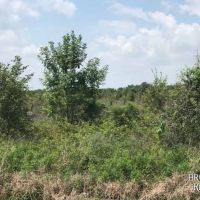 LA - Richland 198 acres - images 4