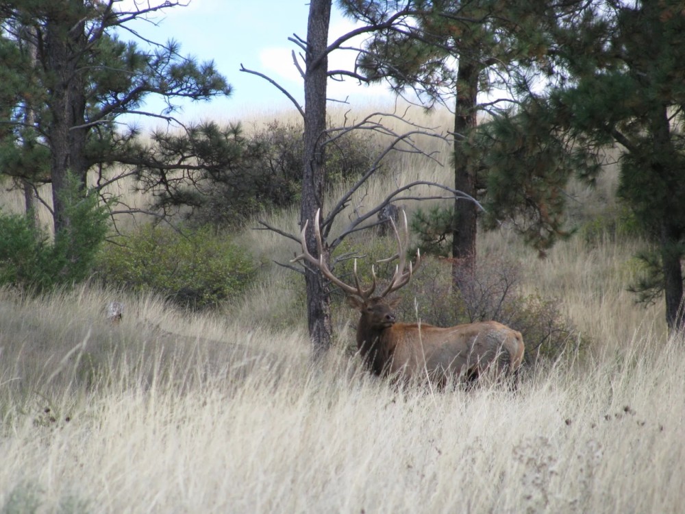 Watson Ranch featured image