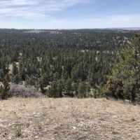 Watson Ranch images 4